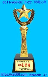 6c11-w37-07_閃耀之星,水晶琉璃獎牌製作推薦,台北,新北,基隆,宜蘭,桃圓,新竹,台中,台南,高雄