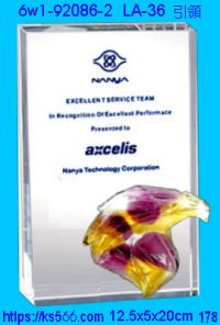 6w1-92086-2_引領,水晶琉璃獎牌製作推薦,台北,新北,基隆,宜蘭,桃圓,新竹,台中,台南,高雄