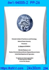 6w1-94005-2_木質+金銀箔,水晶琉璃獎牌製作推薦,台北,新北,基隆,宜蘭,桃圓,新竹,台中,台南,高雄