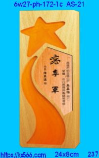 6w27-ph-172-1c_星牌,水晶琉璃獎牌製作推薦,台北,新北,基隆,宜蘭,桃圓,新竹,台中,台南,高雄