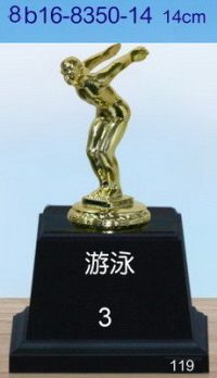 8b16-8350-14_游泳,水晶琉璃獎盃獎牌獎杯製作推薦,台北,新北,基隆,宜蘭,桃圓,新竹,台中,台南,高雄,台東.花蓮,澎湖