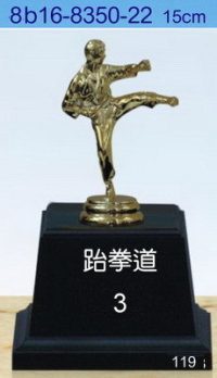 8b16-8350-22_跆拳道,水晶琉璃獎盃獎牌獎杯製作推薦,台北,新北,基隆,宜蘭,桃圓,新竹,台中,台南,高雄,台東.花蓮,澎湖