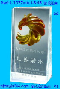 5w11-1077mb_傲視雄鷹,水晶琉璃獎座獎牌製作推薦,台北,新北,基隆,宜蘭,桃圓,新竹,台中,台南,高雄