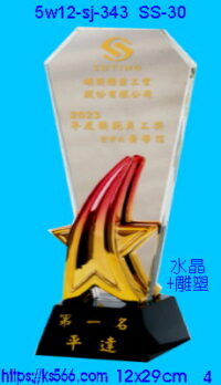 5w12-sj-343_星光燦爛,水晶琉璃獎牌獎座獎盃製作推薦,台北,新北,基隆,宜蘭,桃圓,新竹,台中,台南,高雄