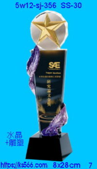 5w12-sj-356_星光燦爛,水晶琉璃獎牌獎座獎盃製作推薦,台北,新北,基隆,宜蘭,桃圓,新竹,台中,台南,高雄