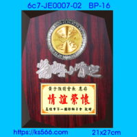 6c7-JE0007-02,水晶琉璃獎牌製作推薦,台北,新北,基隆,宜蘭,桃圓,新竹,台中,台南,高雄