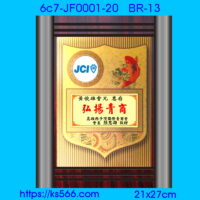 6c7-JF0001-20_青商會,水晶琉璃獎牌製作推薦,台北,新北,基隆,宜蘭,桃圓,新竹,台中,台南,高雄