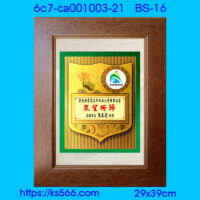 6c7-ca001003-21_高雄市,水晶琉璃獎牌製作推薦,台北,新北,基隆,宜蘭,桃圓,新竹,台中,台南,高雄