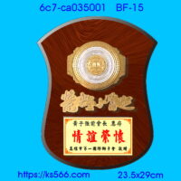 6c7-ca035001,水晶琉璃獎牌製作推薦,台北,新北,基隆,宜蘭,桃圓,新竹,台中,台南,高雄