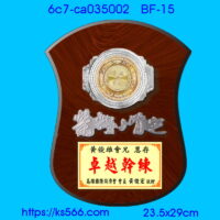 6c7-ca035002,水晶琉璃獎牌製作推薦,台北,新北,基隆,宜蘭,桃圓,新竹,台中,台南,高雄