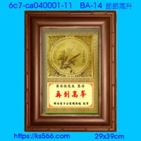 6c7-ca040001-11_節節高升,水晶琉璃獎牌製作推薦,台北,新北,基隆,宜蘭,桃圓,新竹,台中,台南,高雄