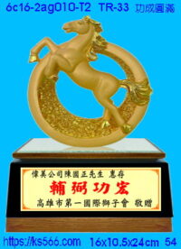 6c16-2ag010-t2_功成圓滿,水晶琉璃獎牌製作推薦,台北,新北,基隆,宜蘭,桃圓,新竹,台中,台南,高雄