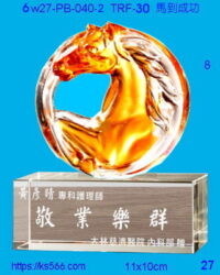 6w27-pb-060-2_馬到成功,水晶琉璃獎牌製作推薦,台北,新北,基隆,宜蘭,桃圓,新竹,台中,台南,高雄